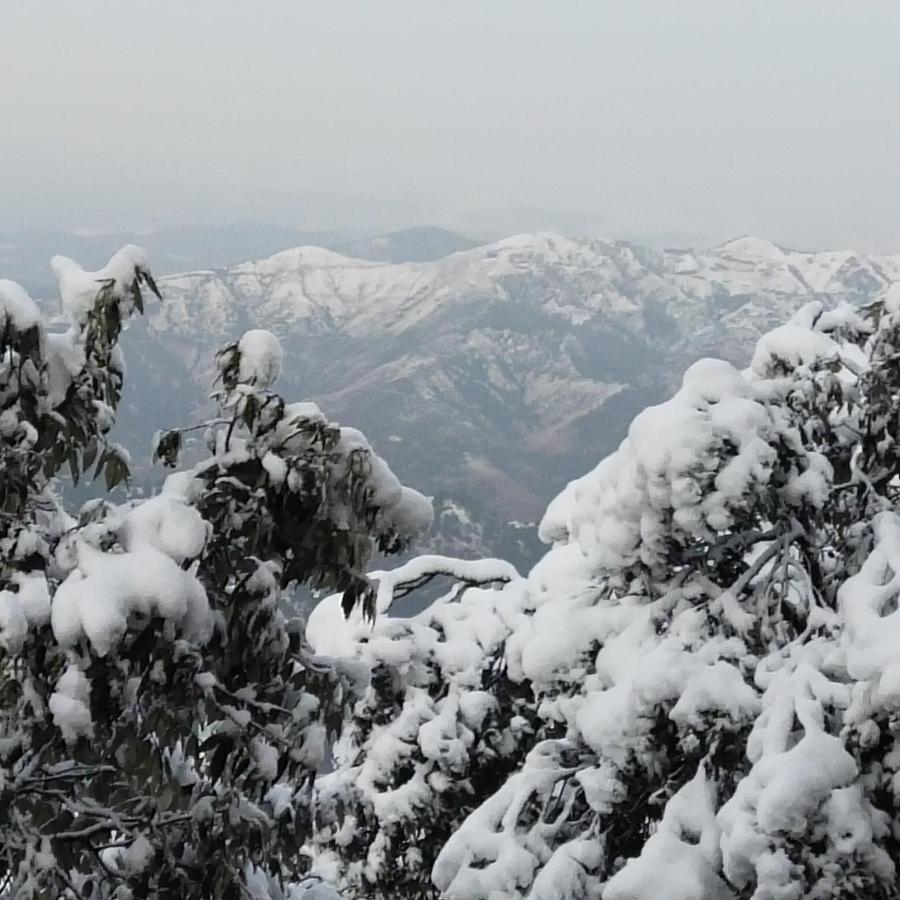 Dhanlaxmi Apartments Shimla Bagian luar foto