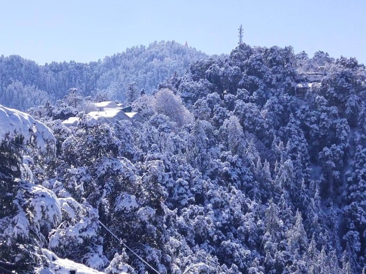 Dhanlaxmi Apartments Shimla Bagian luar foto